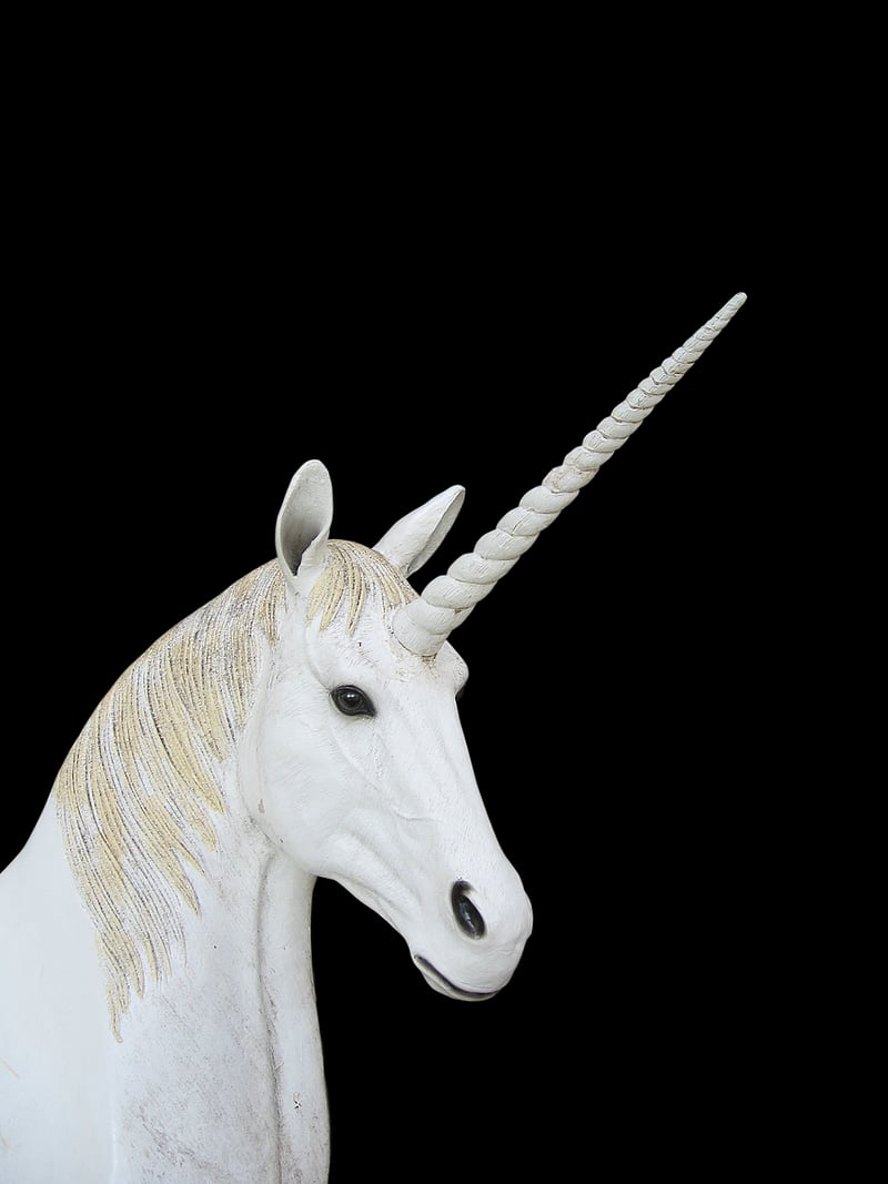 Unicorn Picnic